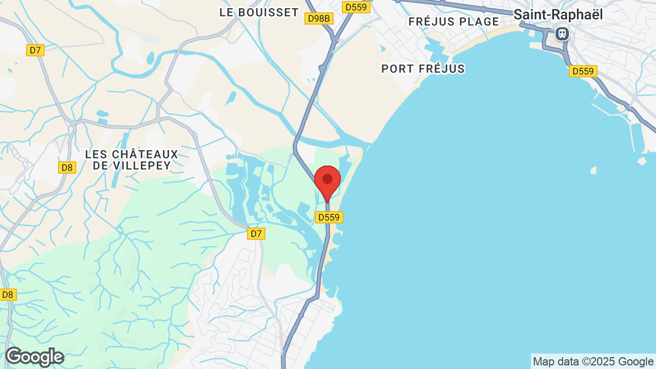 Google map