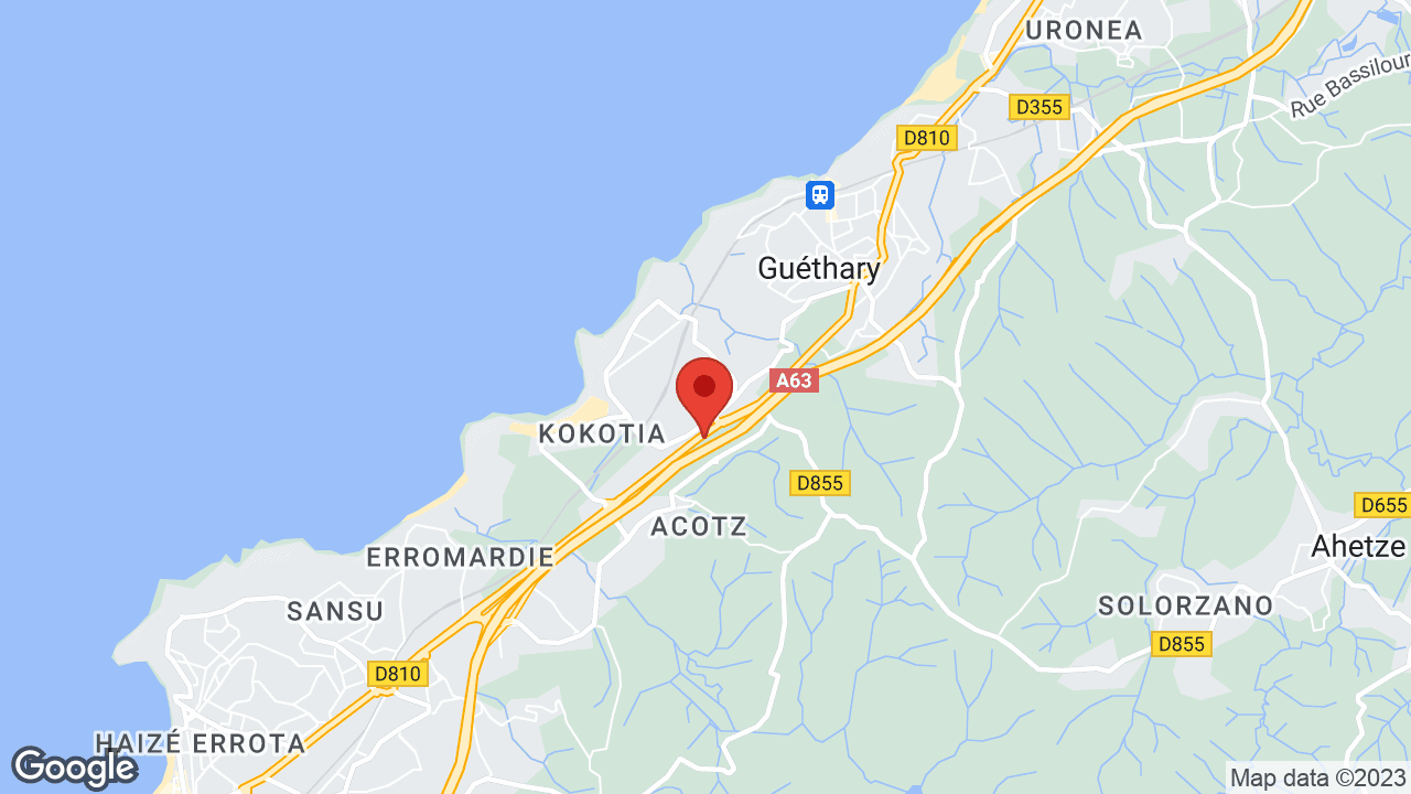 Google map