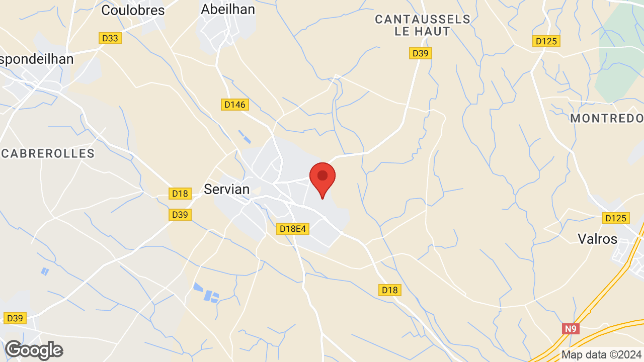 Google map