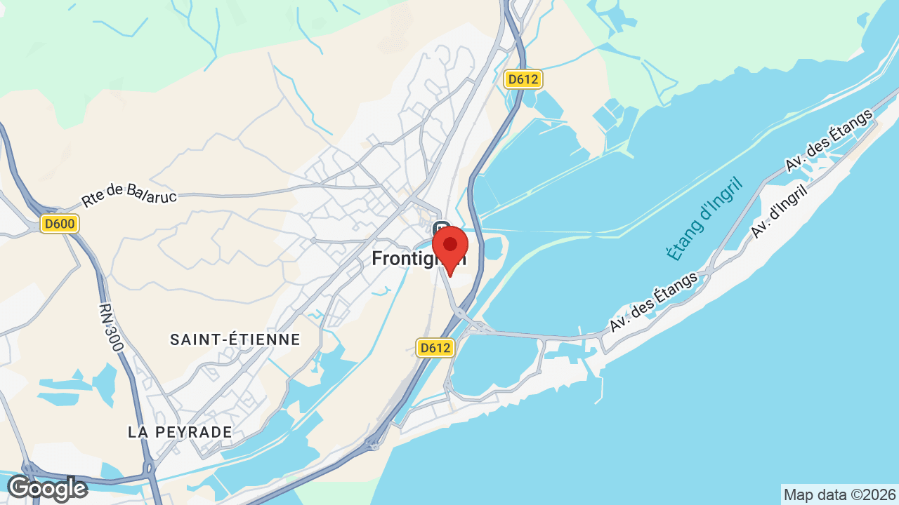Google map