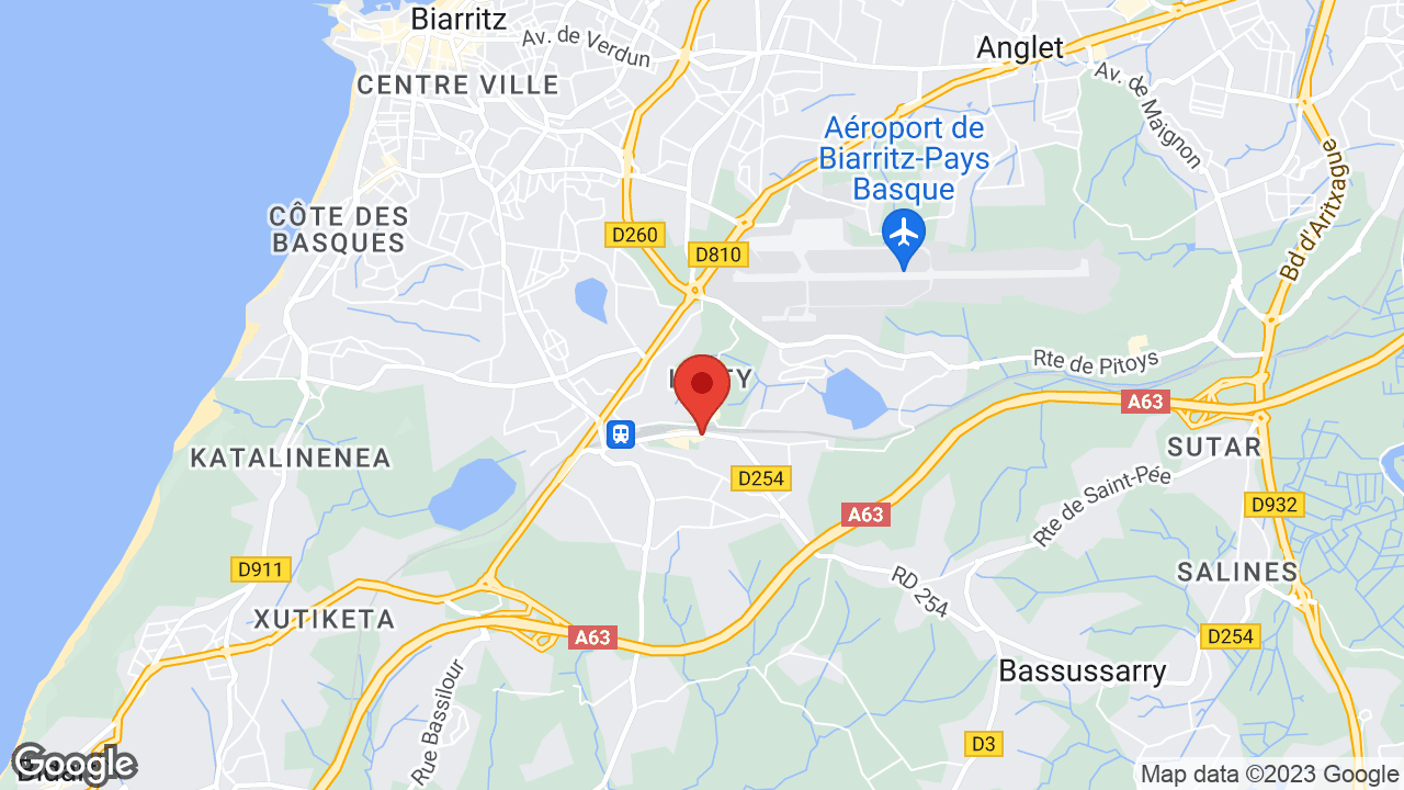 Google map