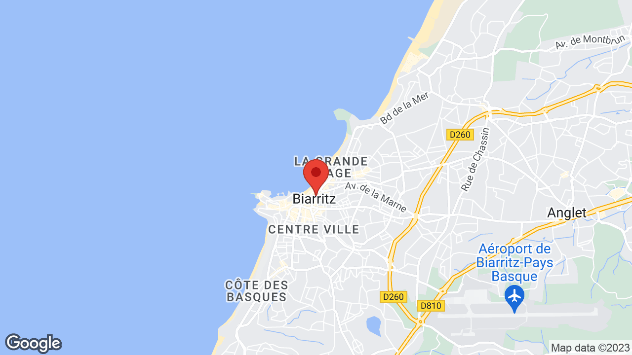 Google map