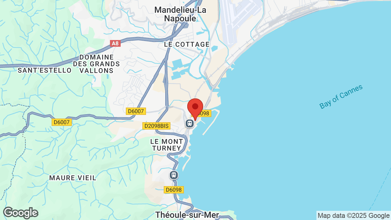 Google map