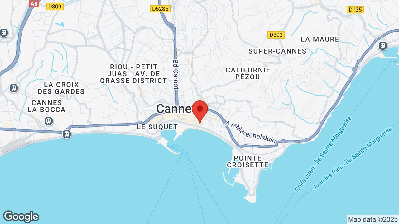 Google map
