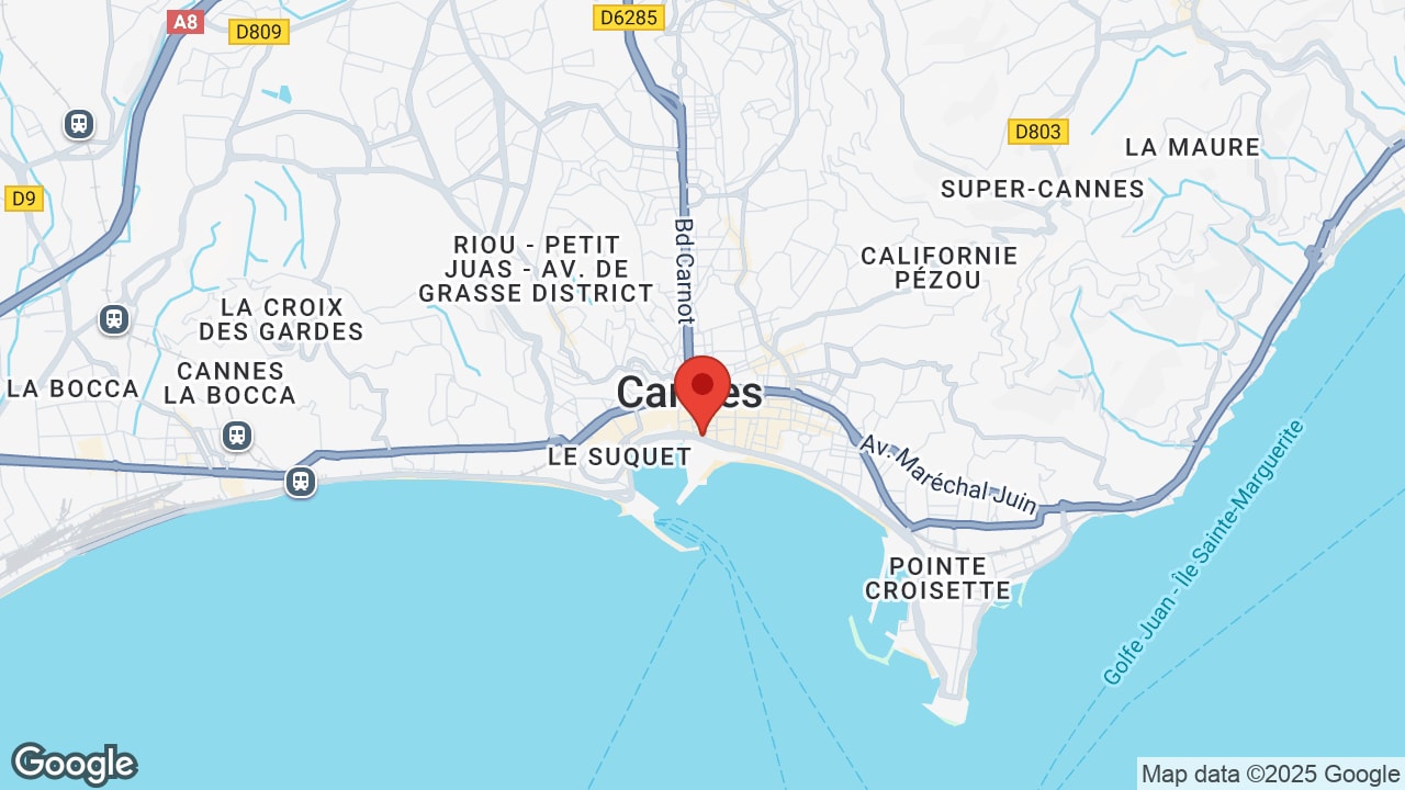 Google map