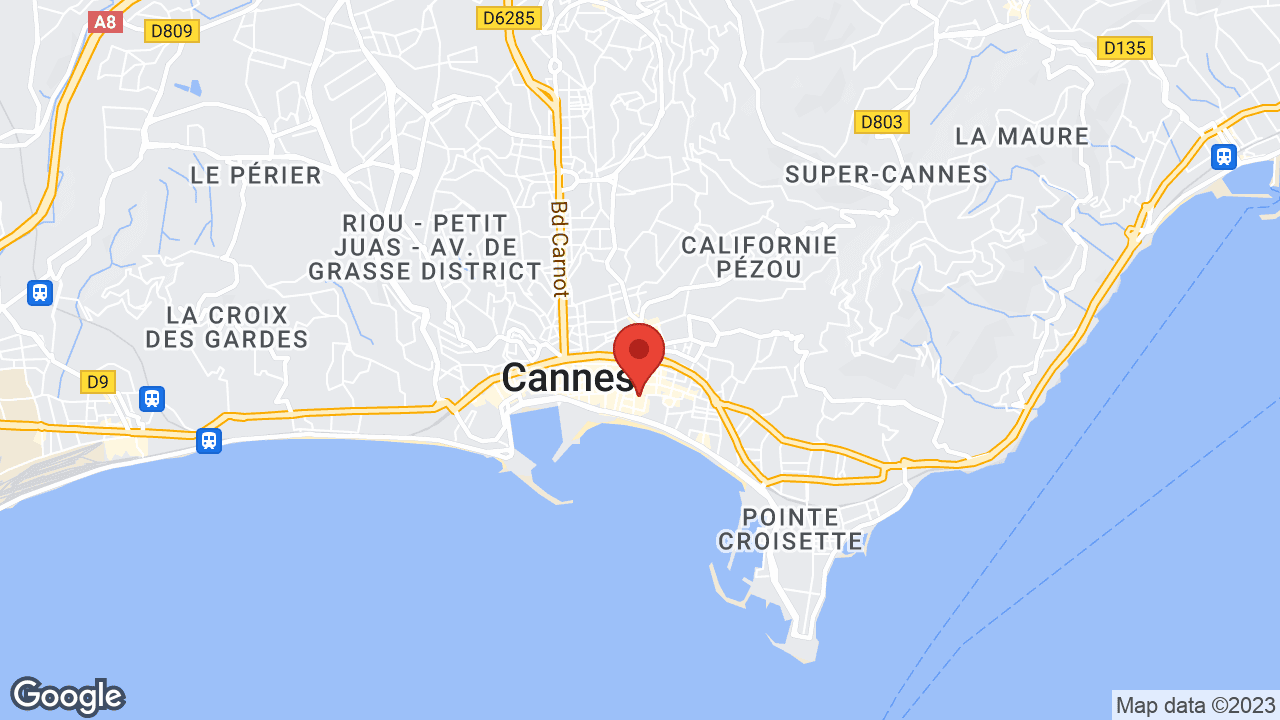 Google map