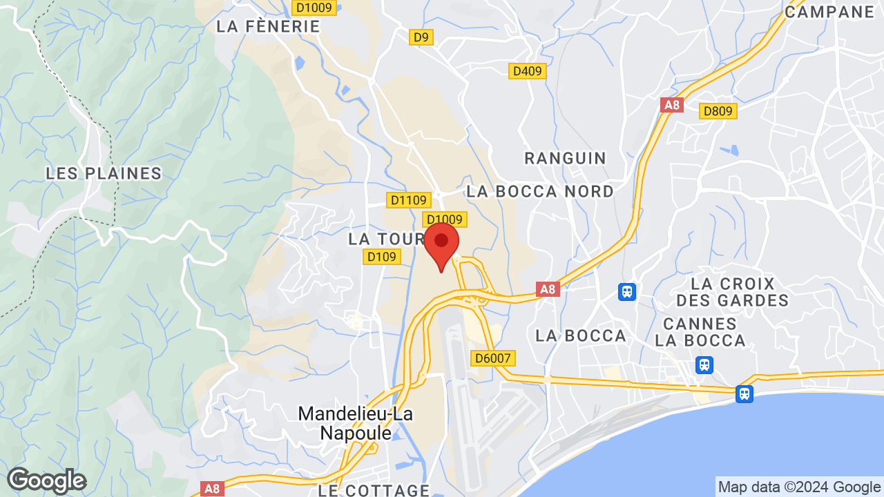Google map