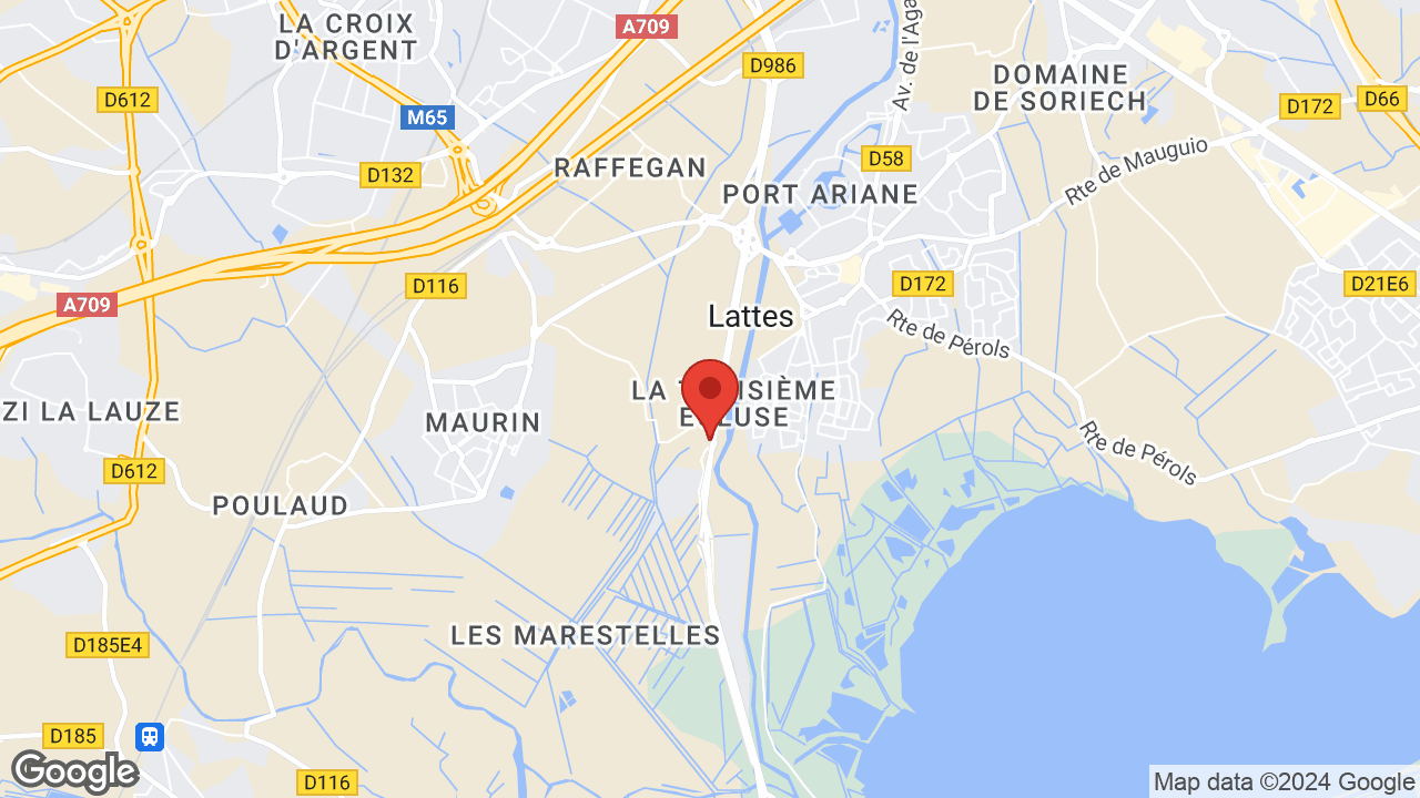 Google map