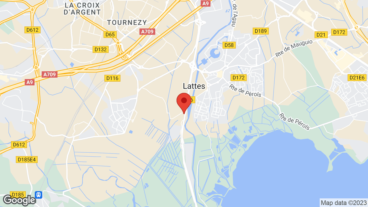 Google map