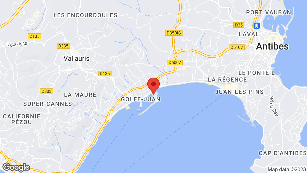 Google map