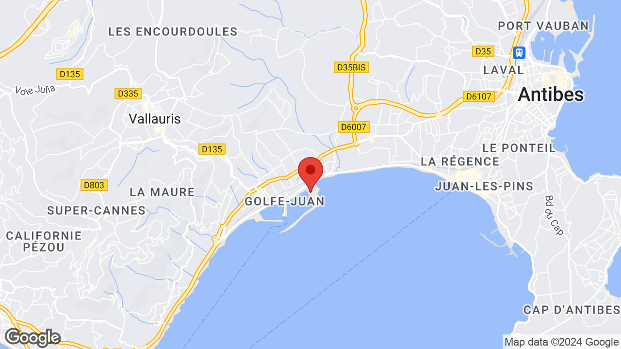 Google map