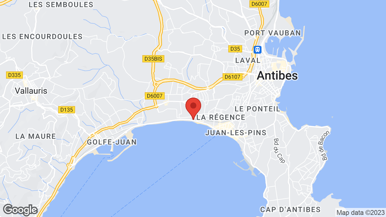 Google map