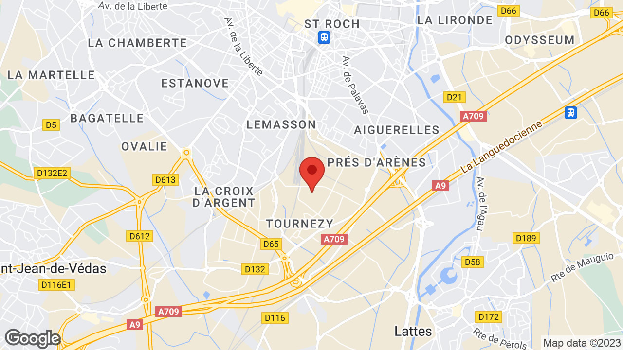 Google map