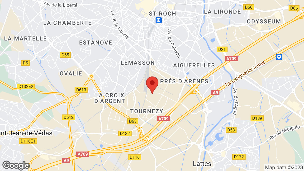 Google map