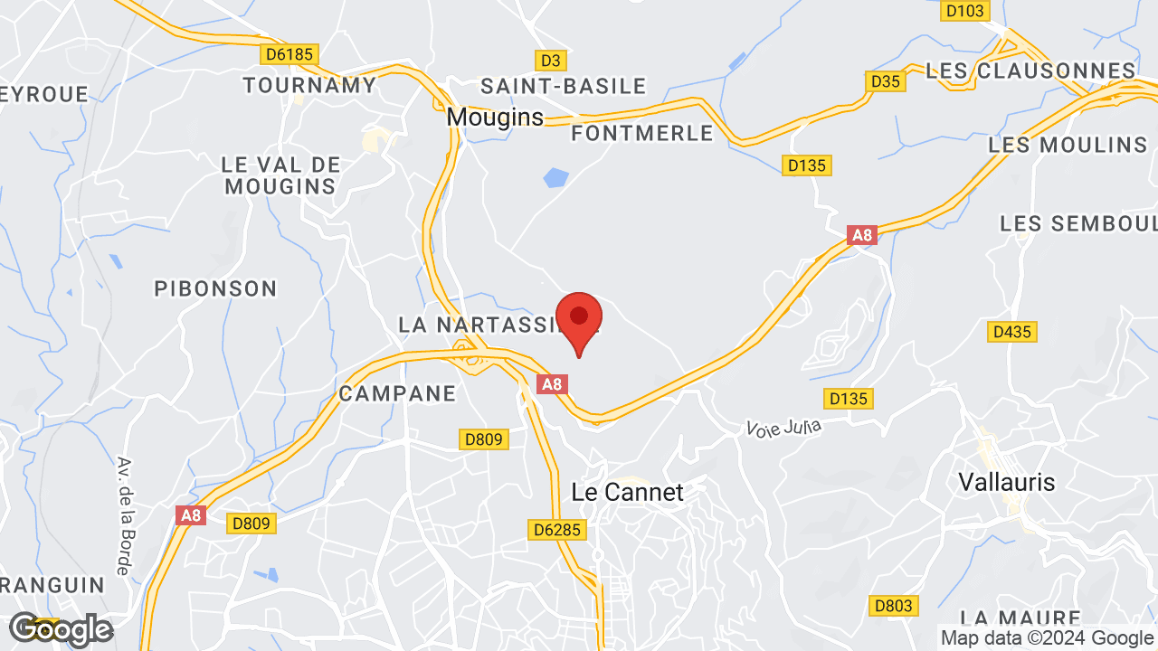Google map