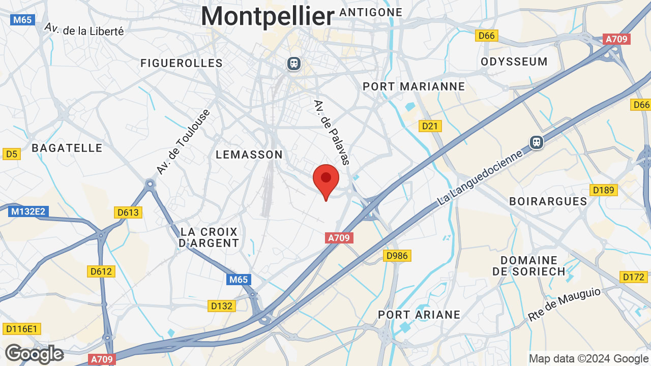 Google map