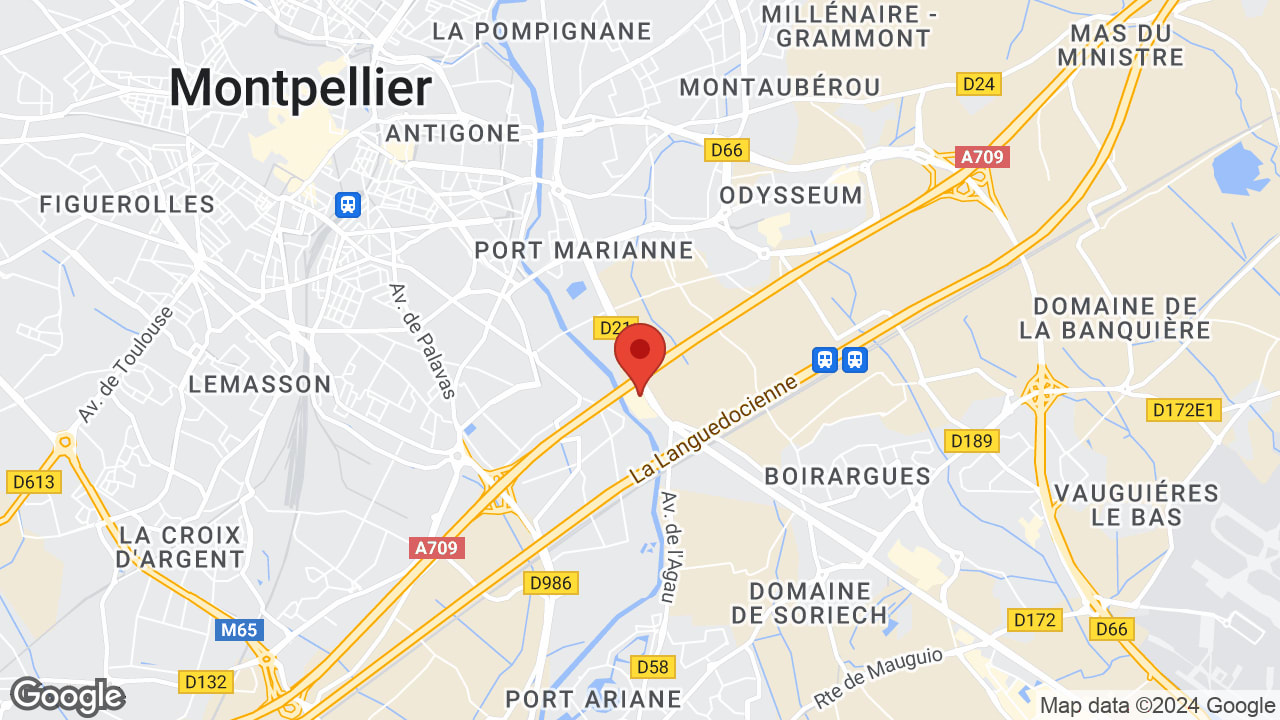 Google map