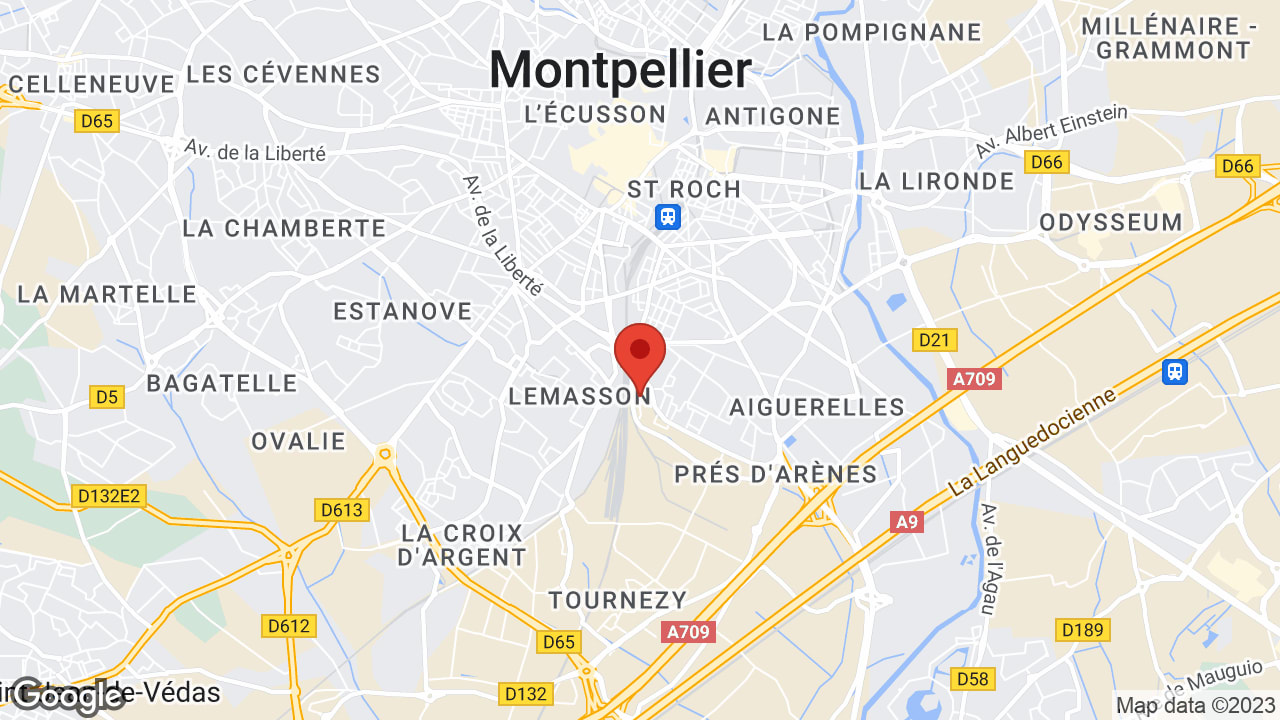 Google map