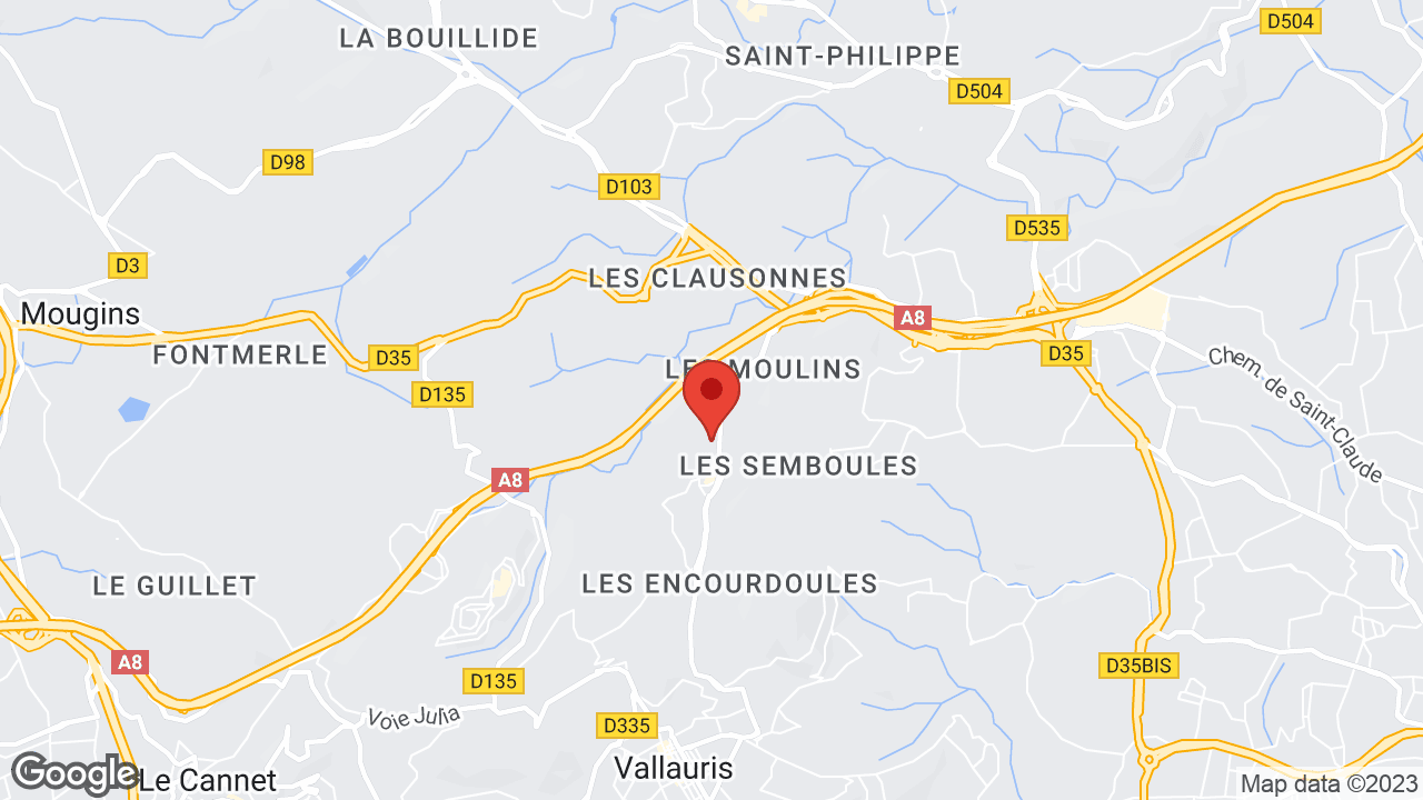 Google map