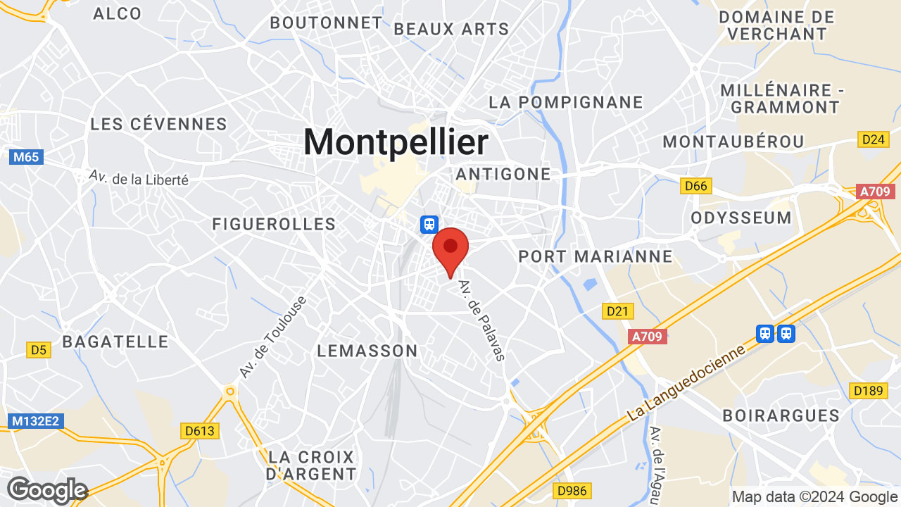 Google map