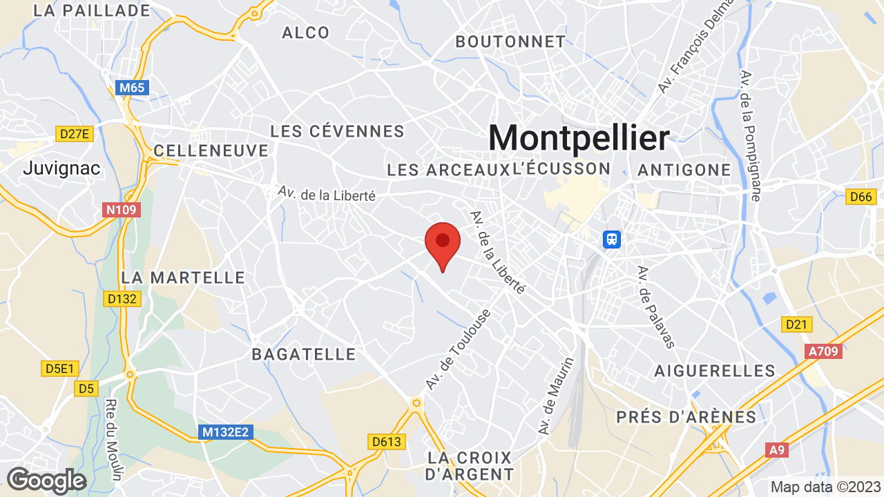 Google map