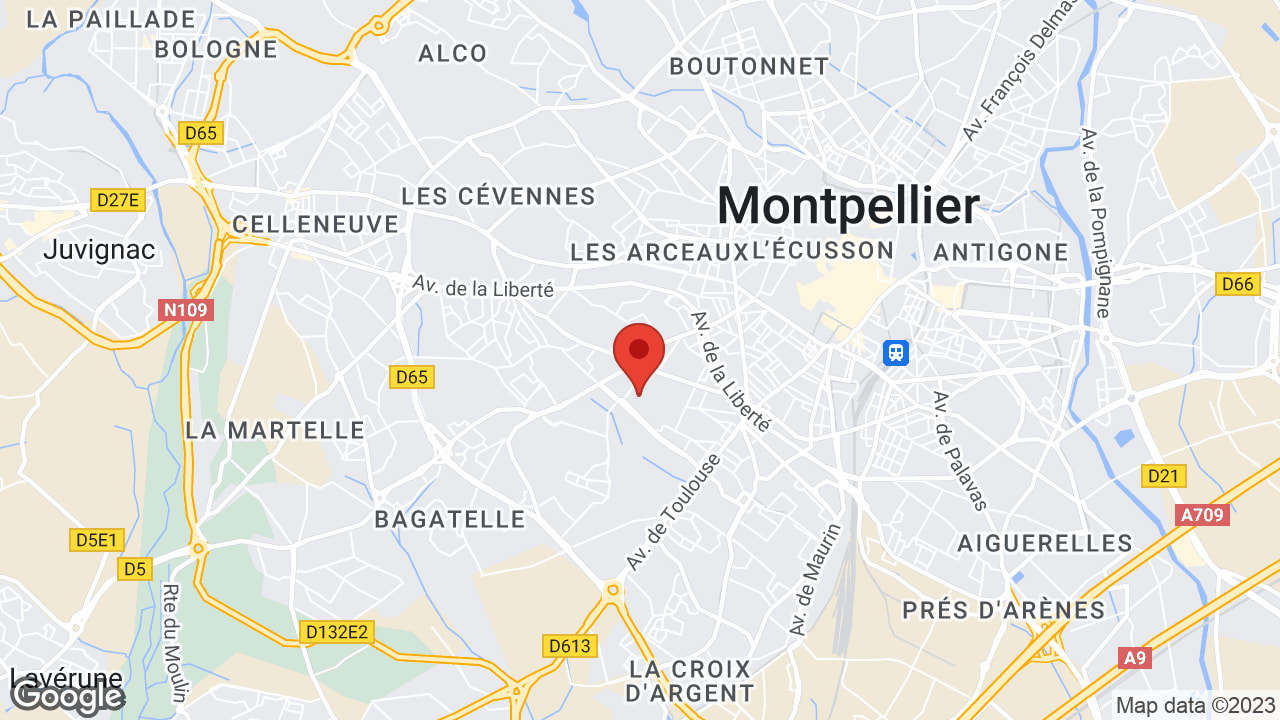 Google map