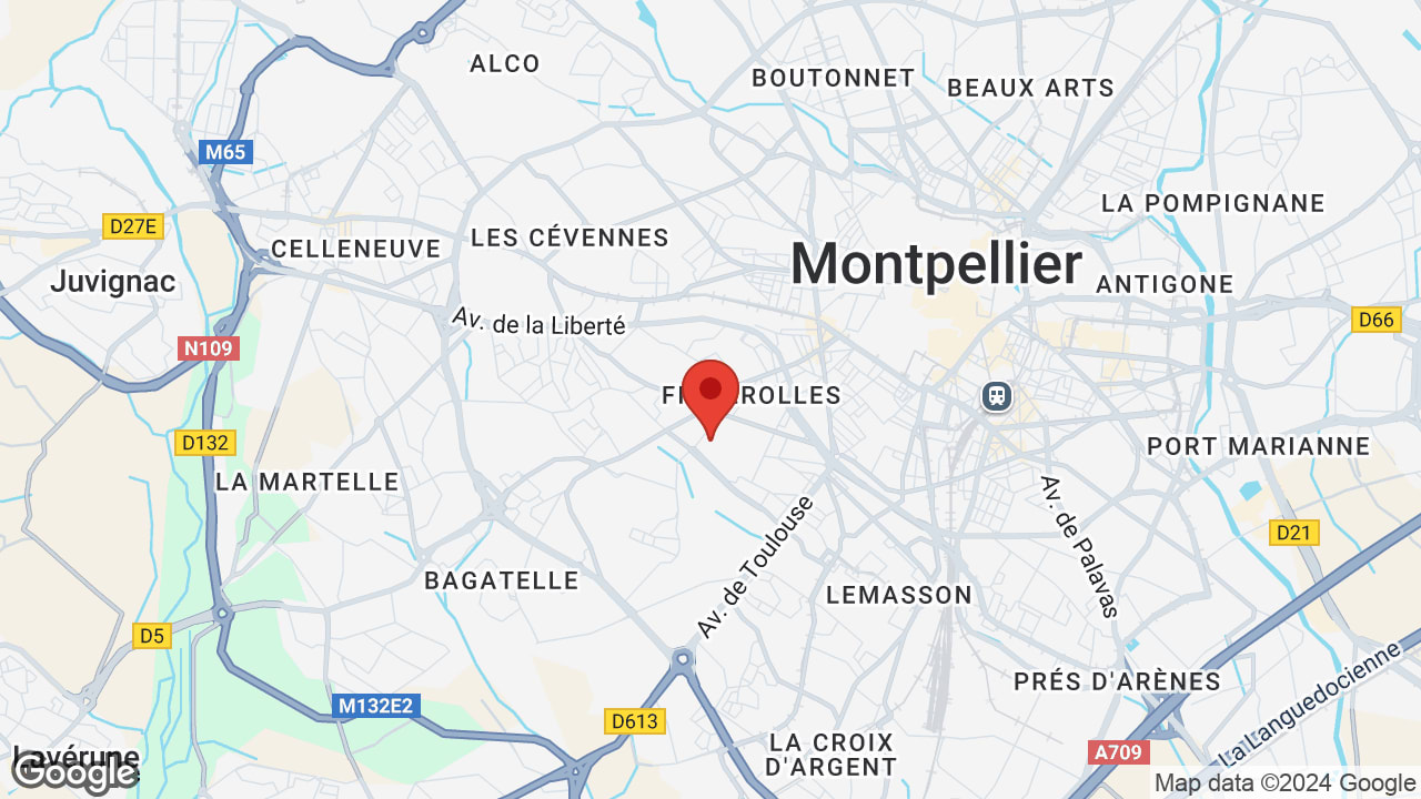 Google map