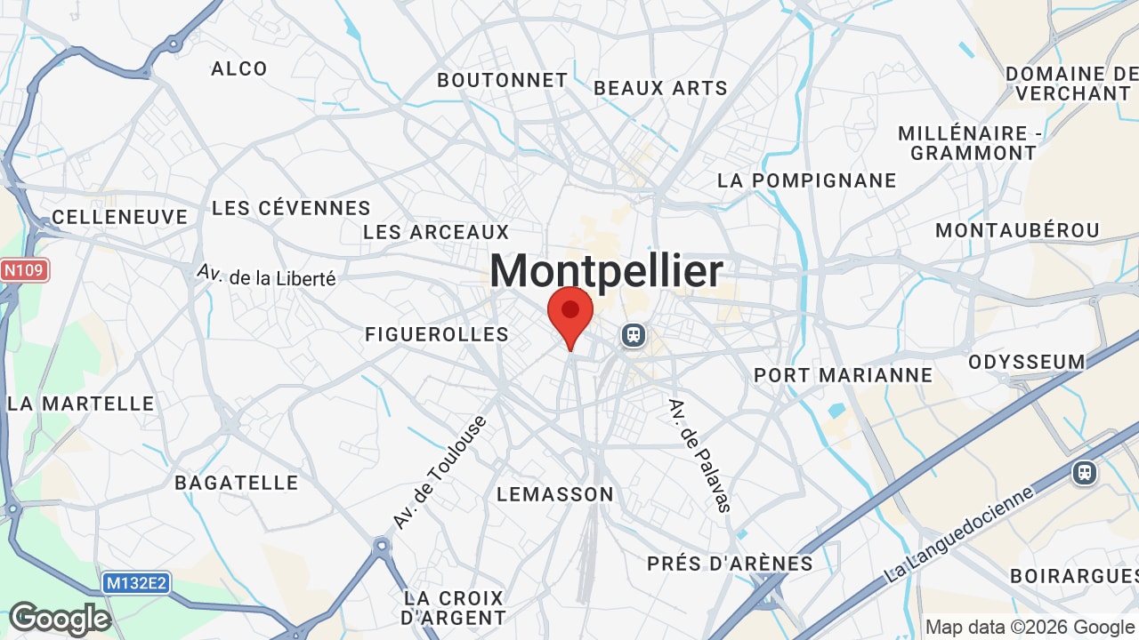 Google map
