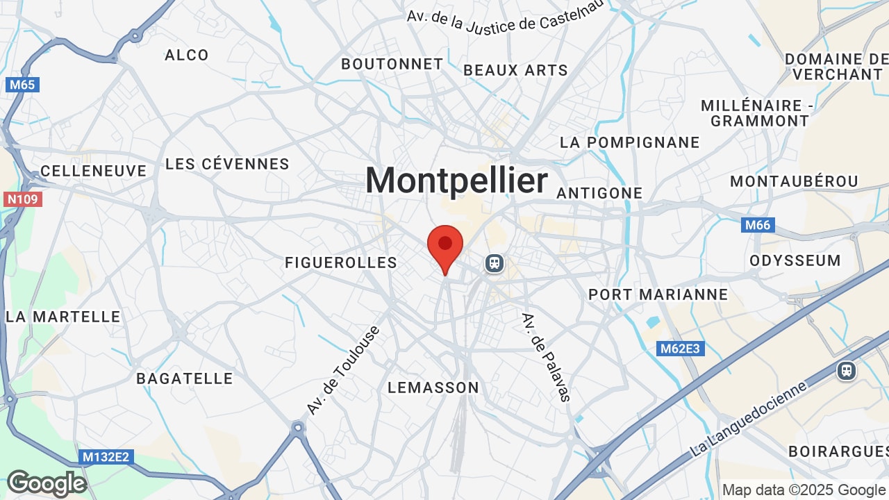 Google map