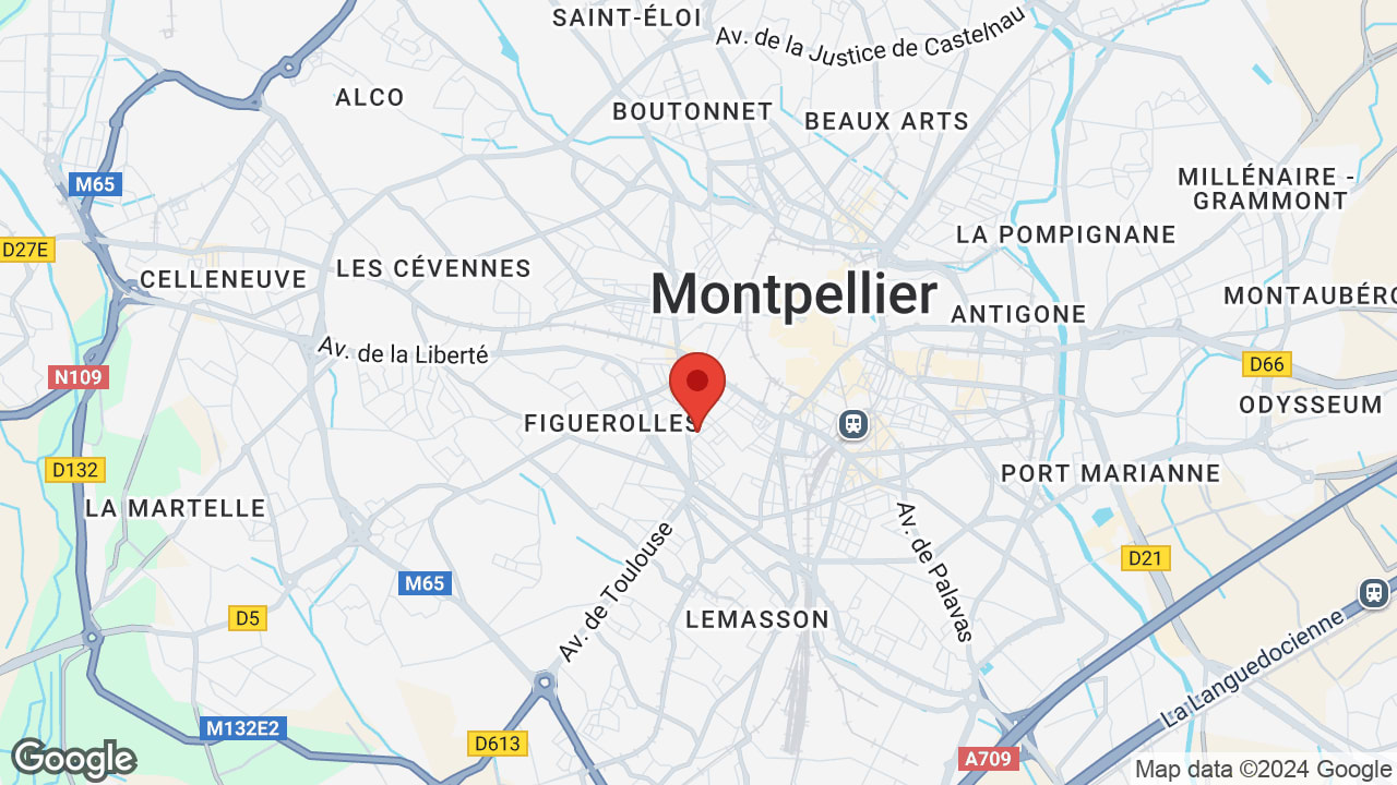 Google map
