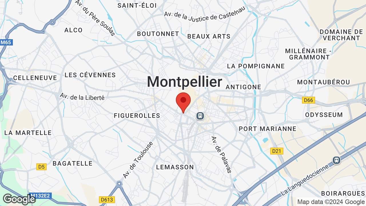 Google map