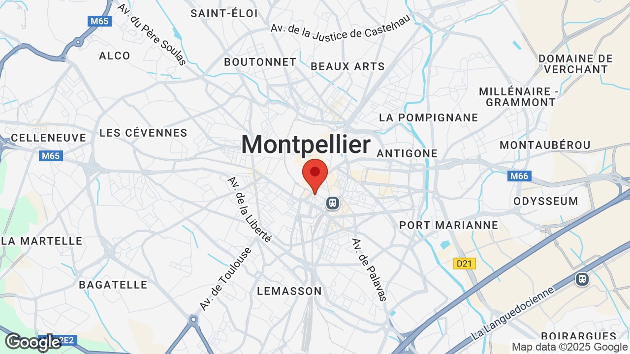 Google map