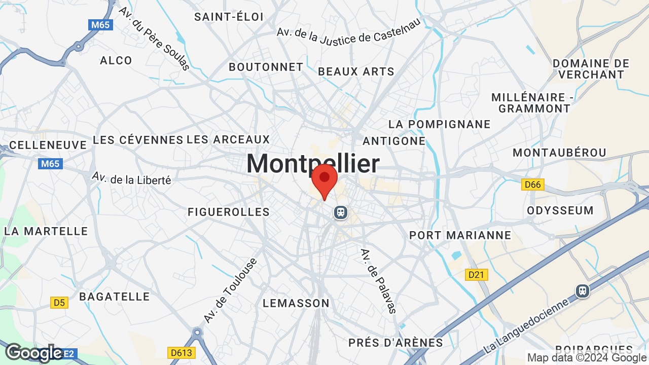 Google map