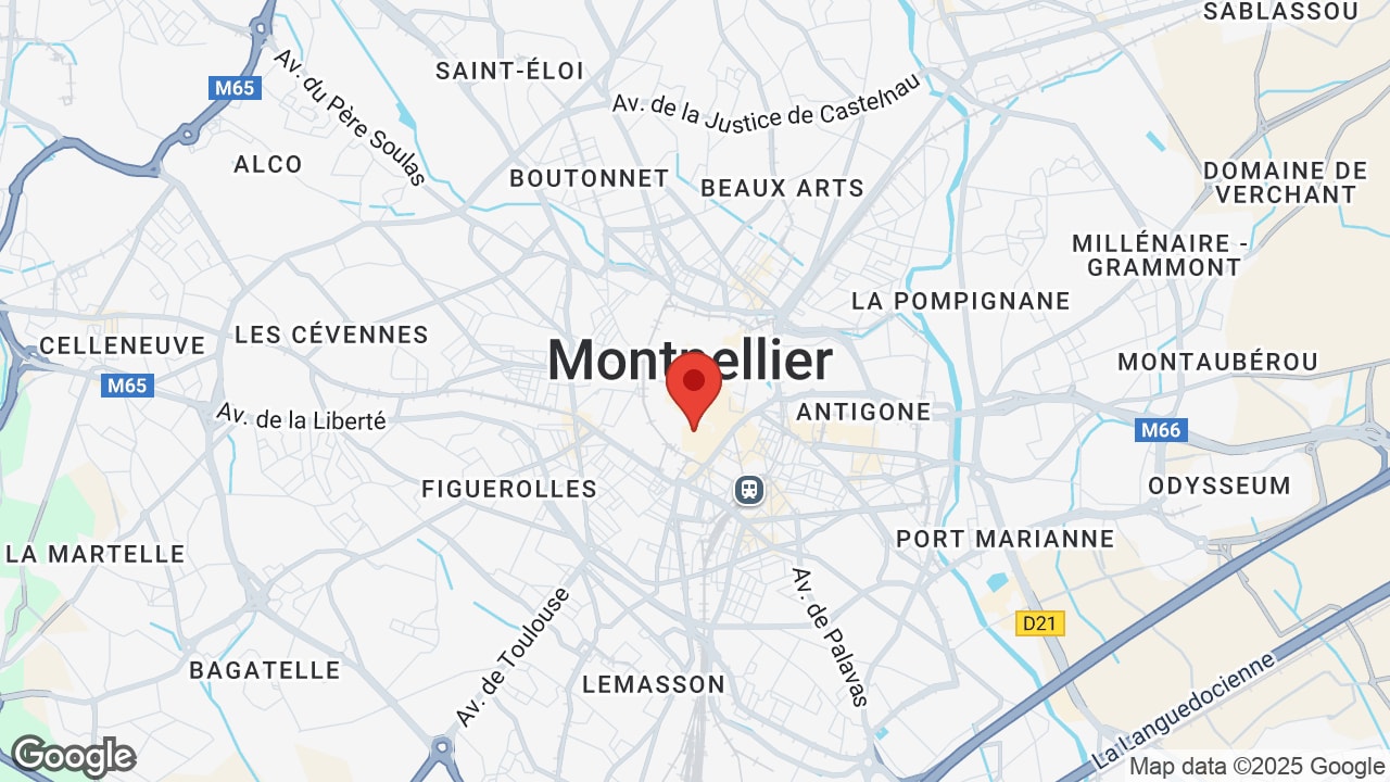 Google map