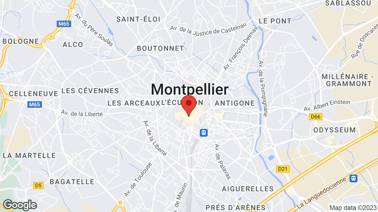 Google map