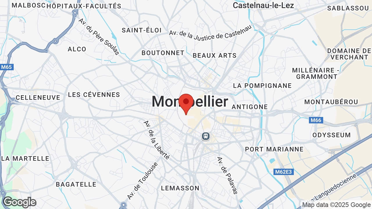 Google map