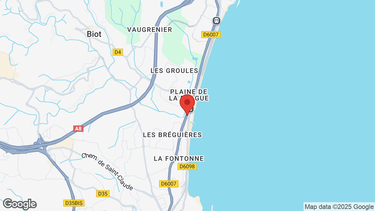 Google map