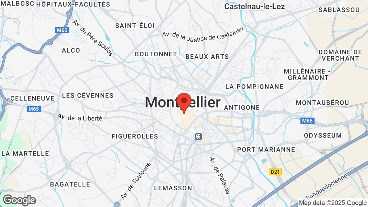 Google map