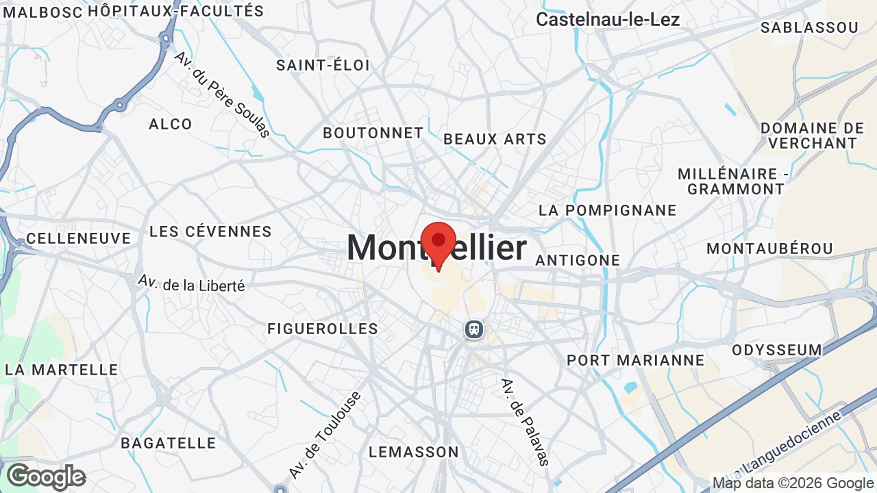 Google map