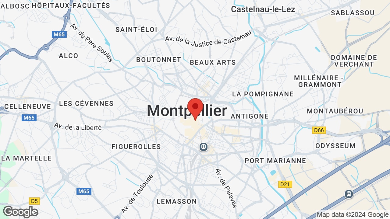 Google map