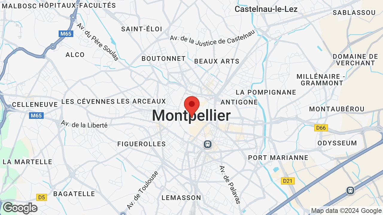 Google map