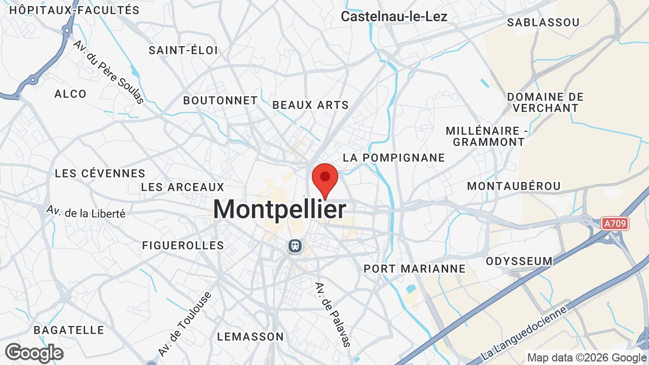 Google map
