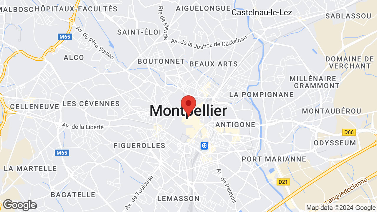 Google map