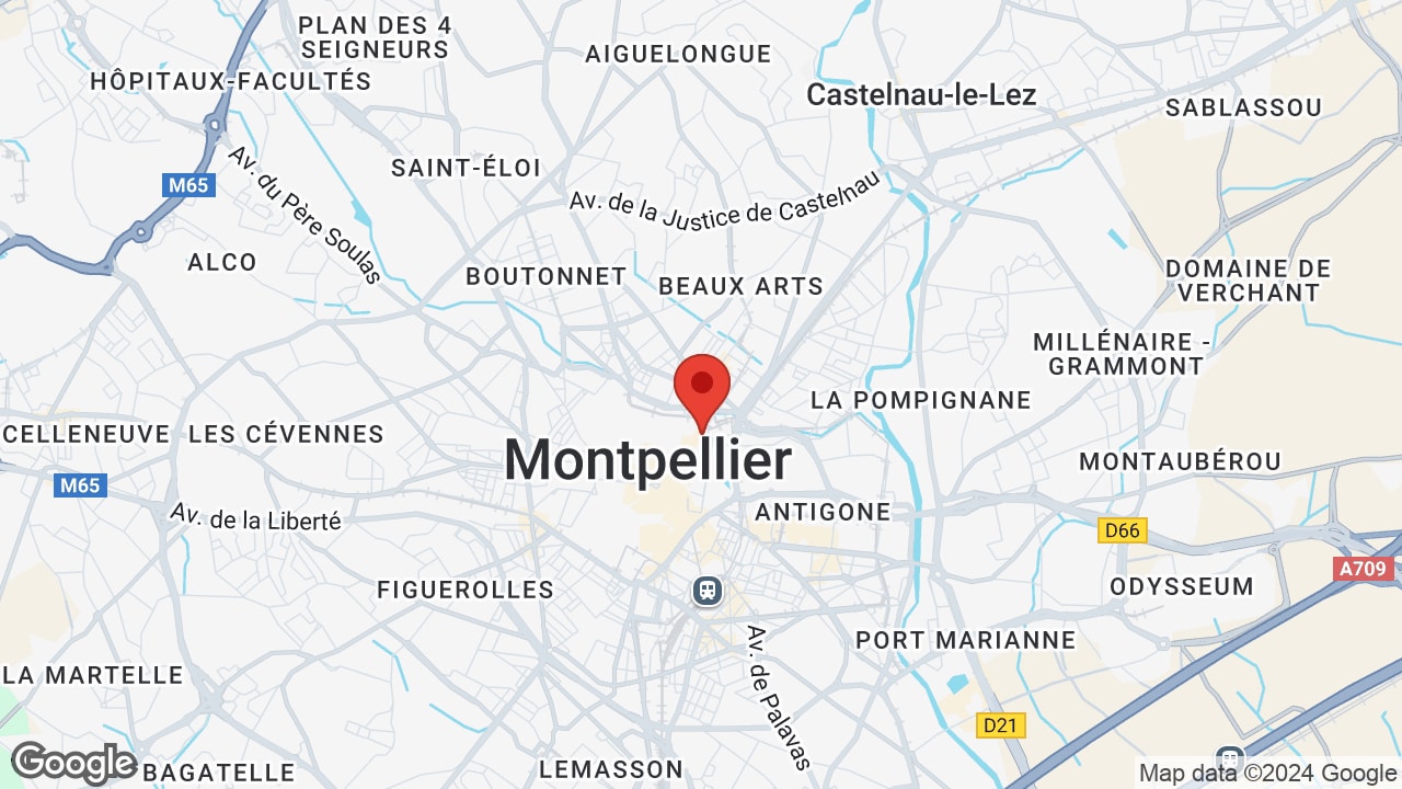 Google map