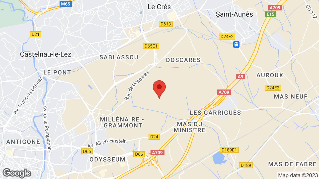 Google map