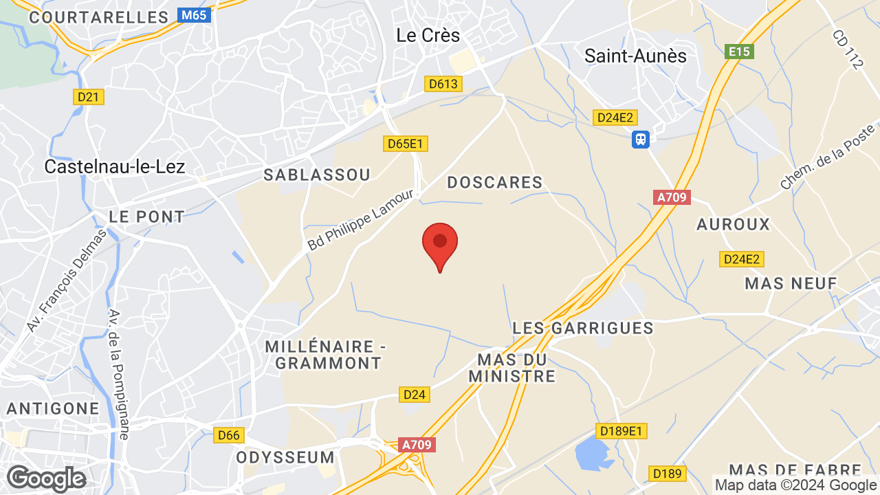 Google map