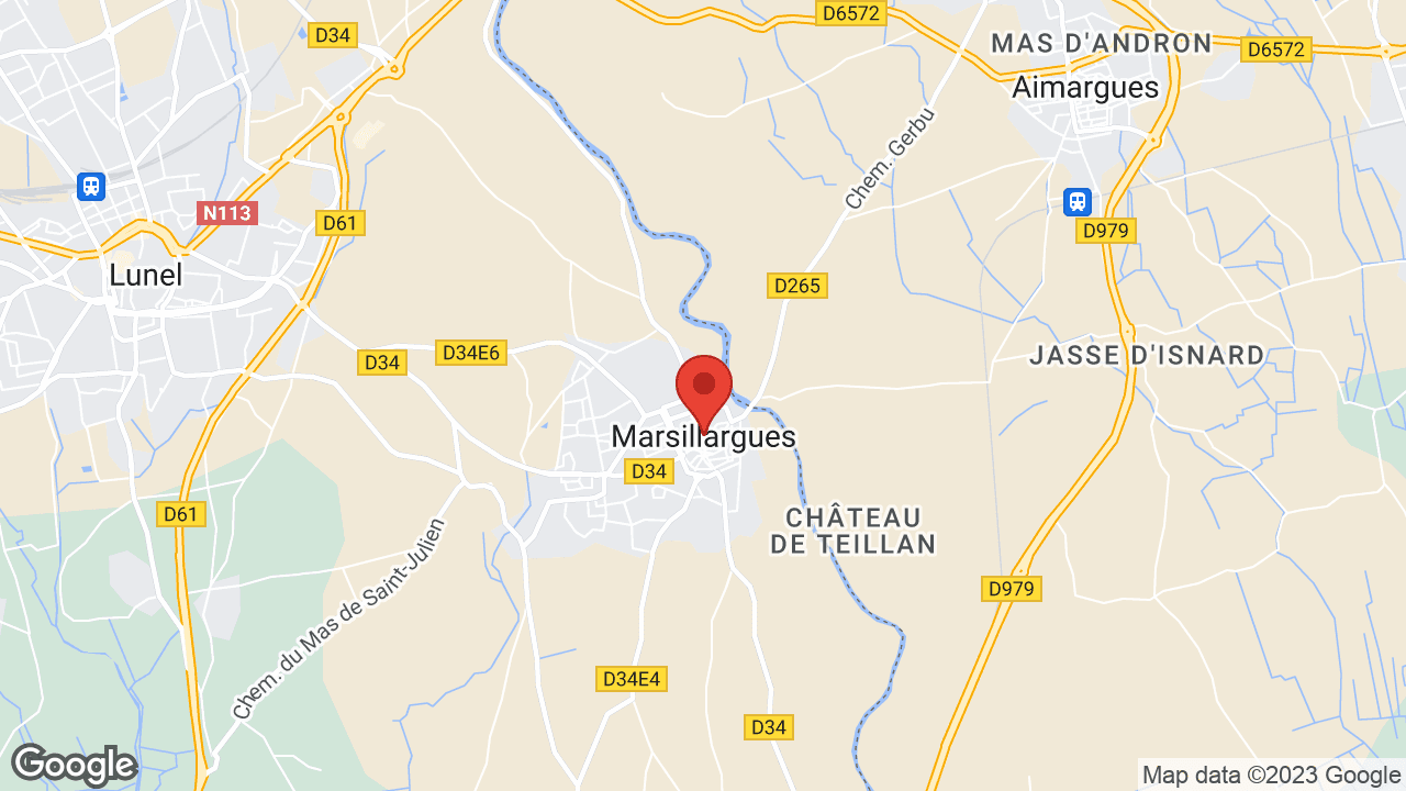 Google map