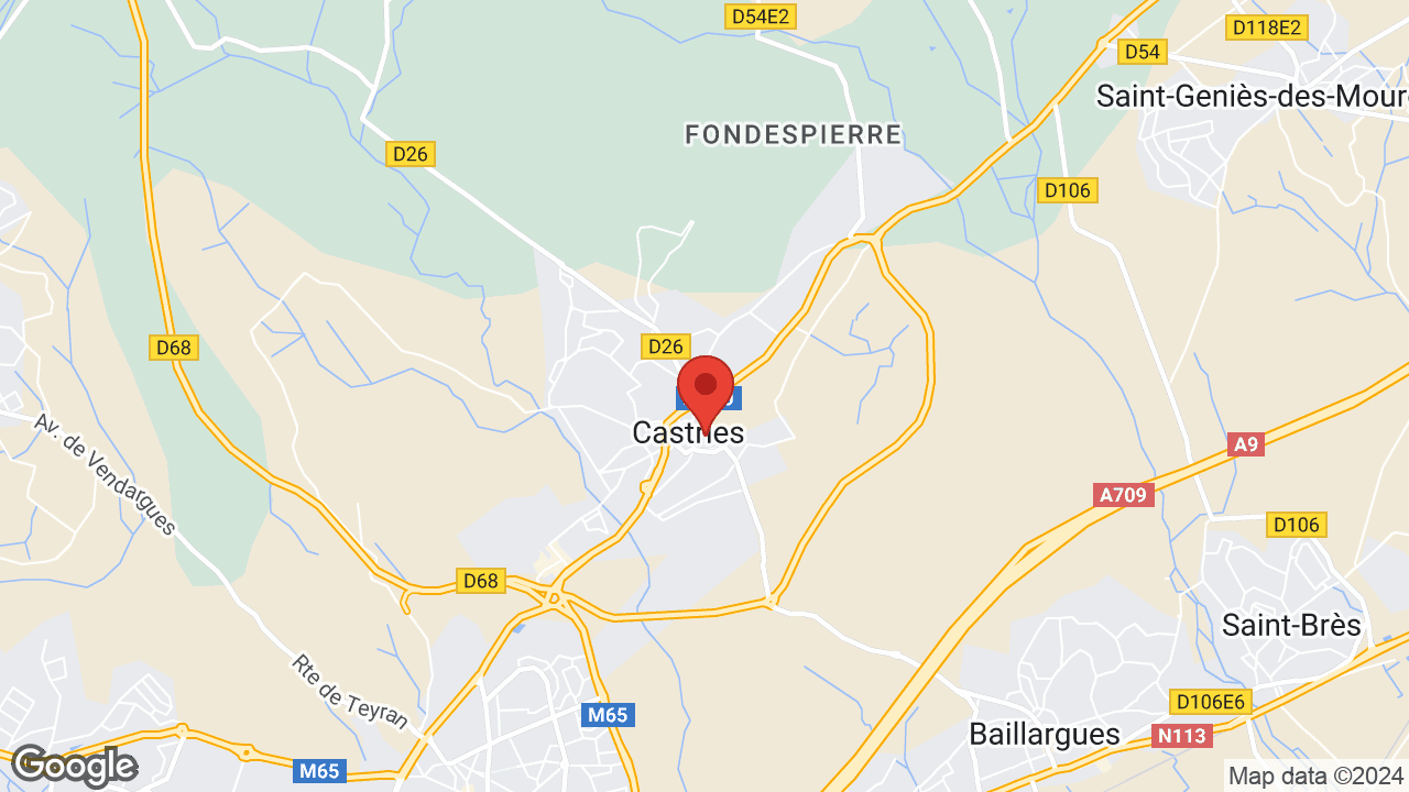 Google map