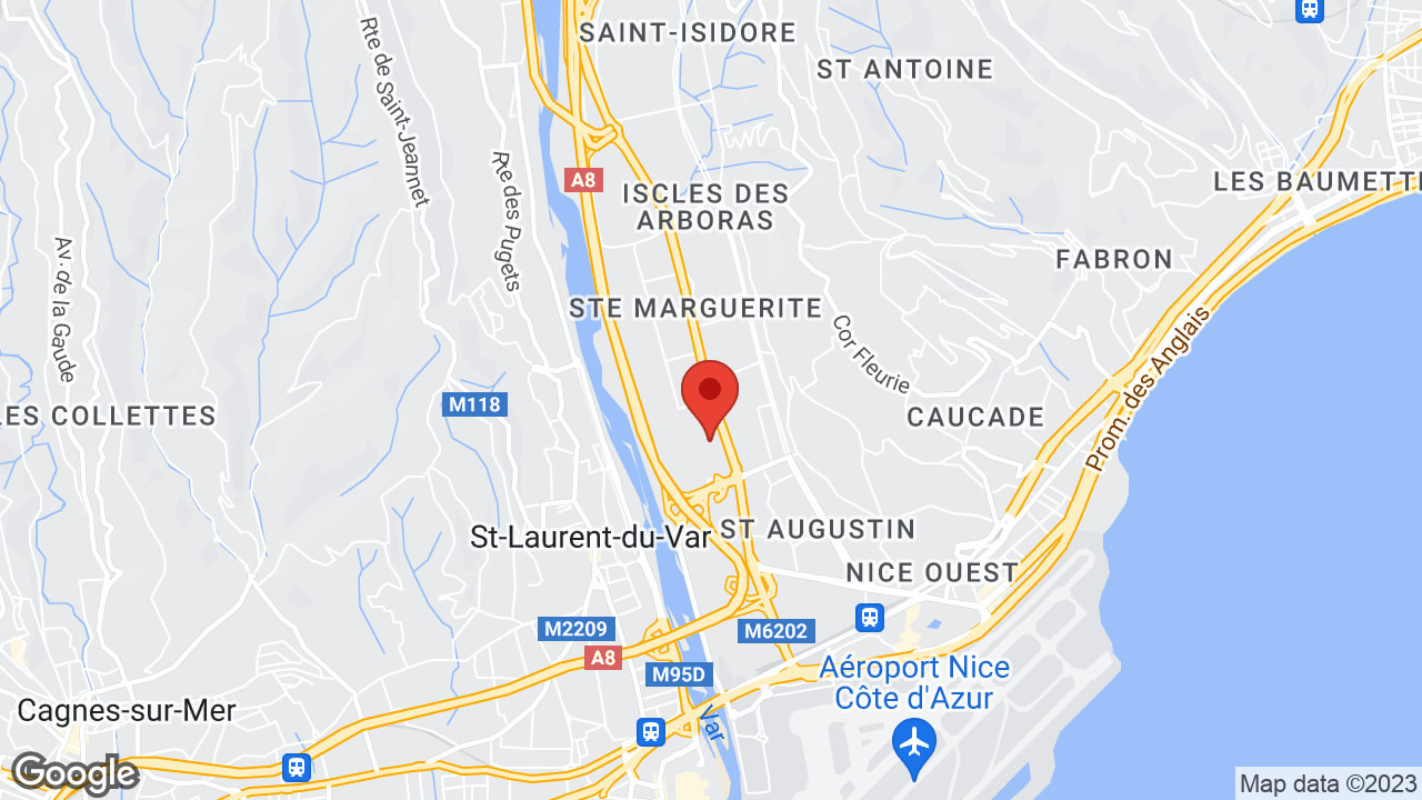 Google map