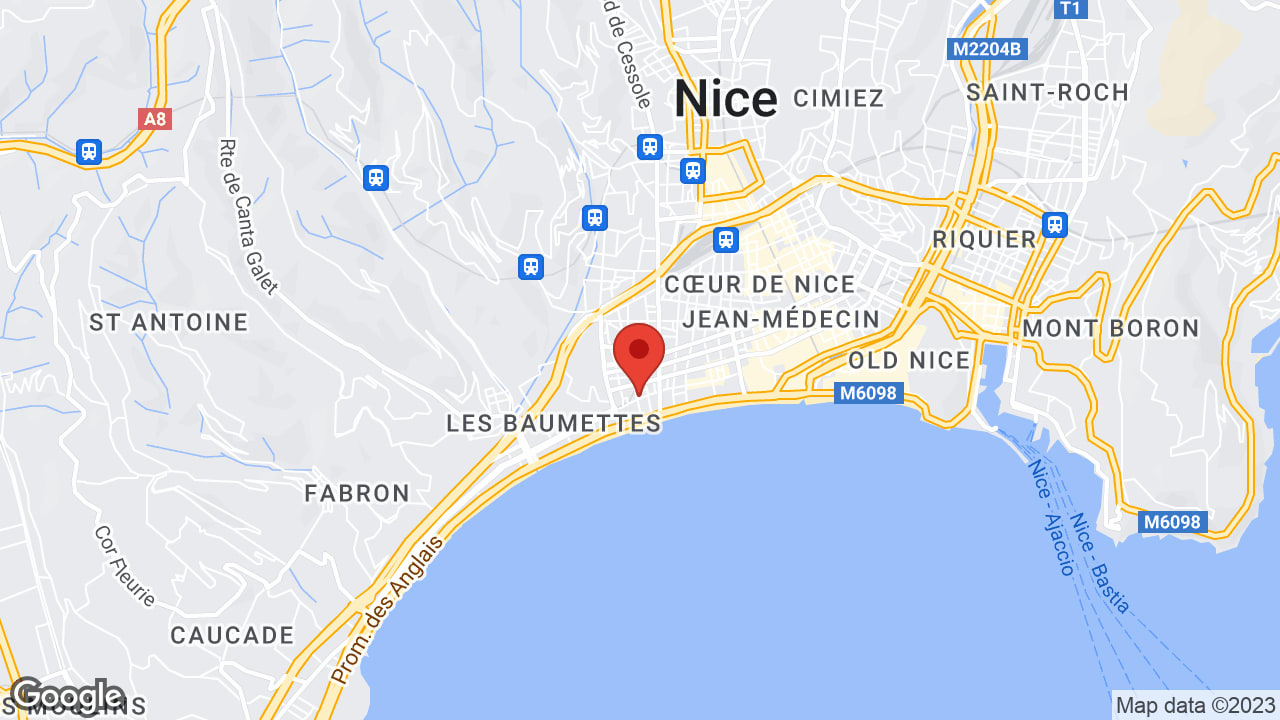 Google map